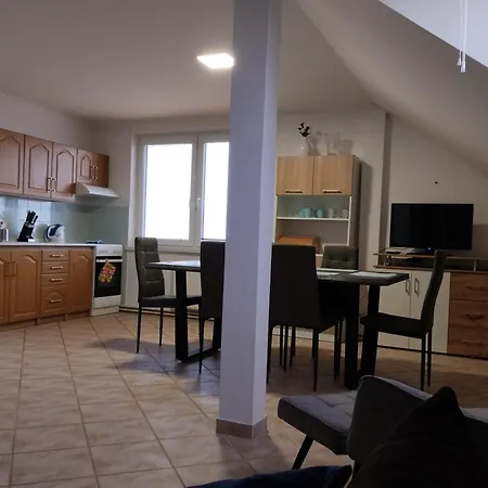 Foltyn Apartment Pavlov